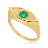 Eye of Protection Ring