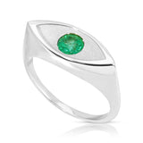 Eye of Protection Ring